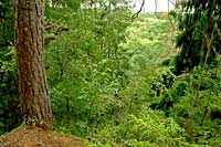 View from Grivini cliff